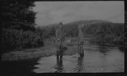 Image of Two men stand in water by trees, fishing